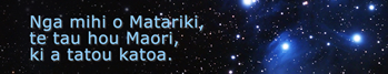 Celebrate Matariki