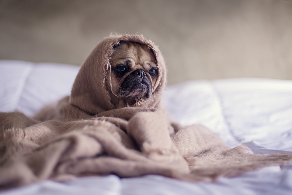Stay home please