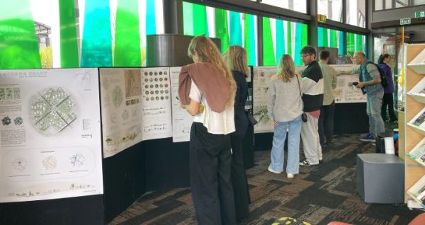 Training for a more flood resilient Auckland