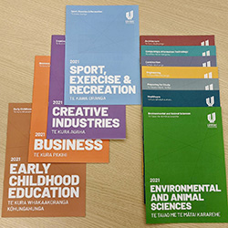 Printed brochures displayed on a desk