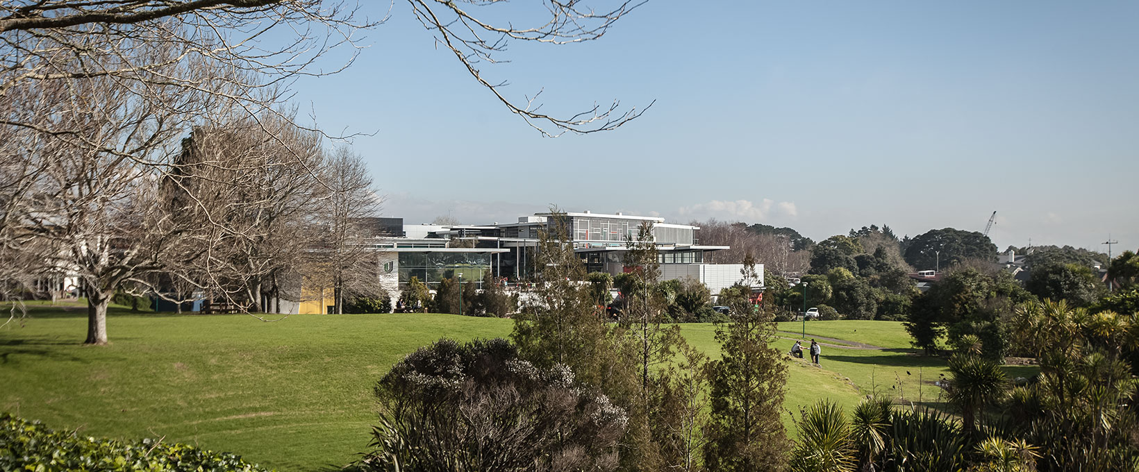 Unitec Mt Albert campus showing large green space and trees in front of buildings