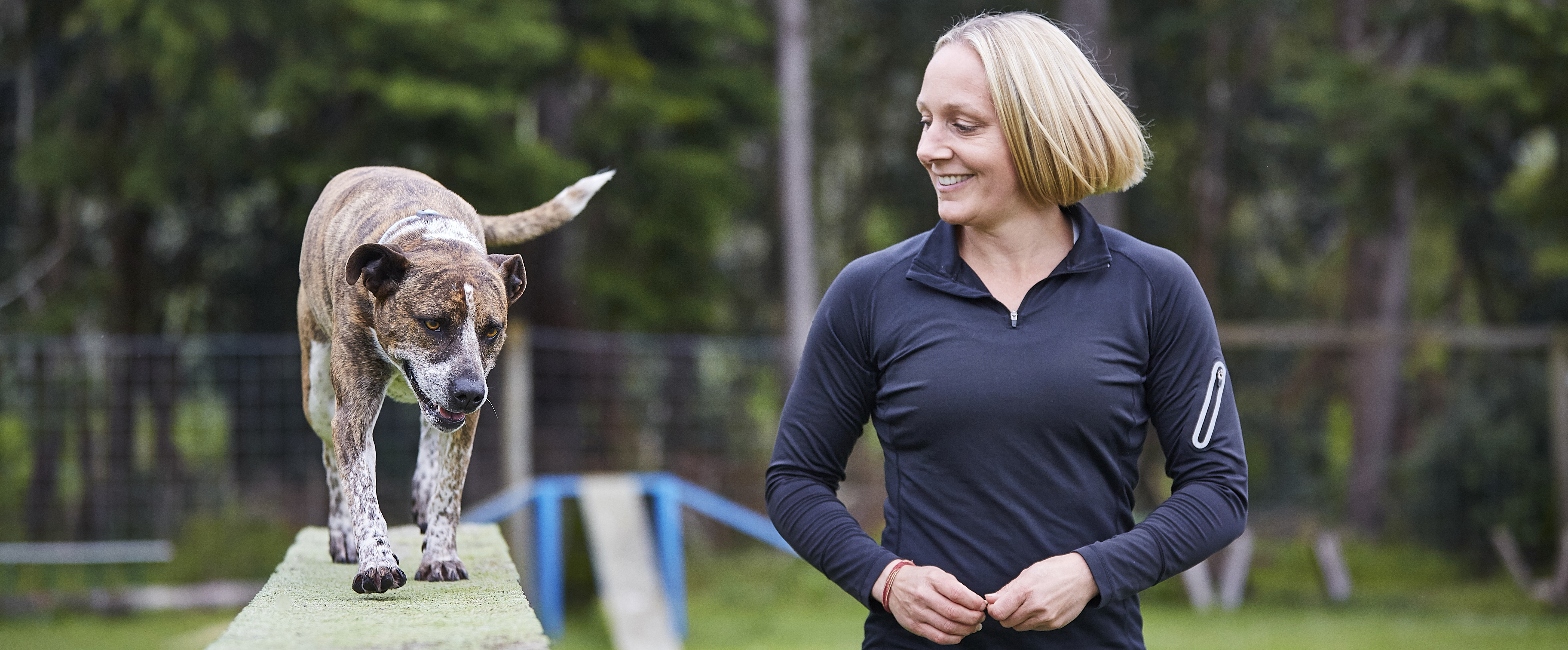 Unitec_NZ Certificate in Animal Management - Canine Behaviour and Training _banner.jpg