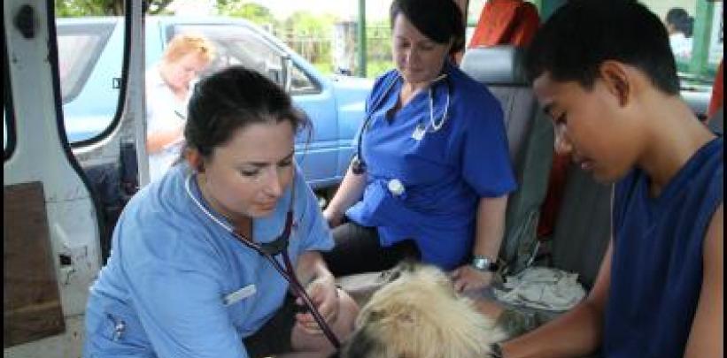 tonga-vet-nursing