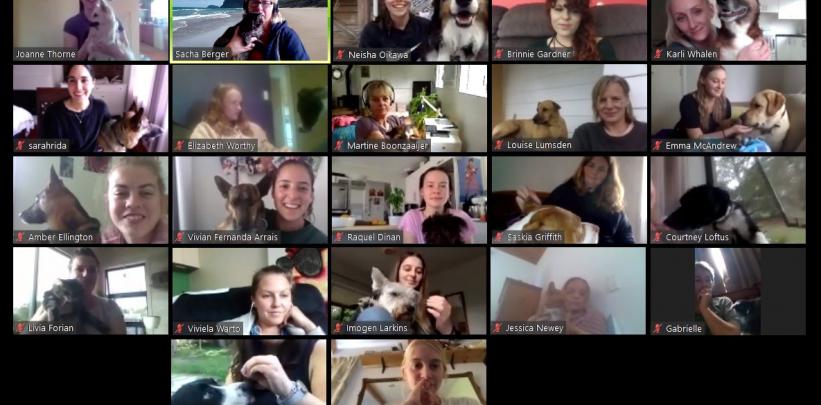 The Canine Behaviour & Training Certificate class at Unitec with their dogs (and some cats)