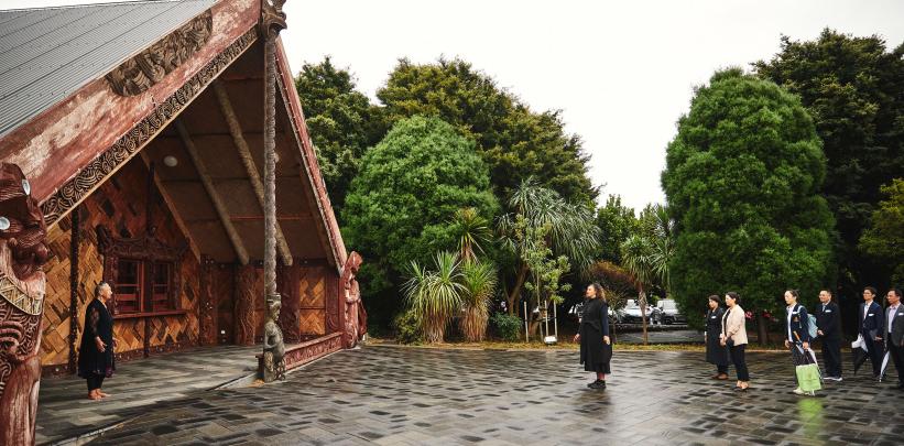 Welcome inside whare