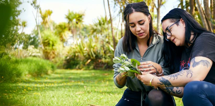 Te Pūkenga Announces the Launch of New Masters of Applied Science Programme in Biodiversity Management