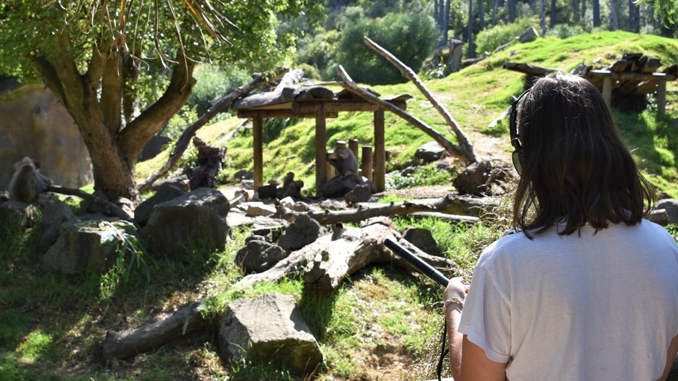 Person in white shirt with headphones observes monkeys near wooden structures in a lush green rocky landscape.