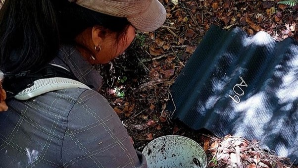Unitec EAS lecture is checking a dirt-covered container in a leaf-strewn outdoor setting.