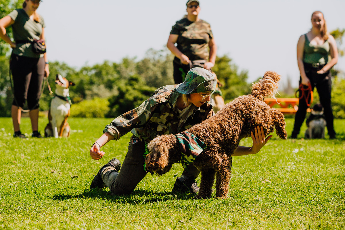 Canine Facilities at Unitec