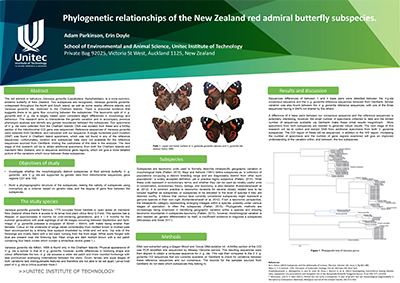 Thumbnail of Phylogenetic relationships of the New Zealand red admiral butterfly subspecies