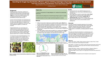 Thumbnail of Searching for fungal mycoherbicides effective against climbing asparagus - Asparagus scandens