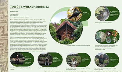 Thumbnail of Toitu te Whenua BioBlitz