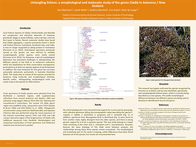 Thumbnail of Untangling lichens: a morphological and molecular study of the genus Cladia in Aotearoa / NZ.