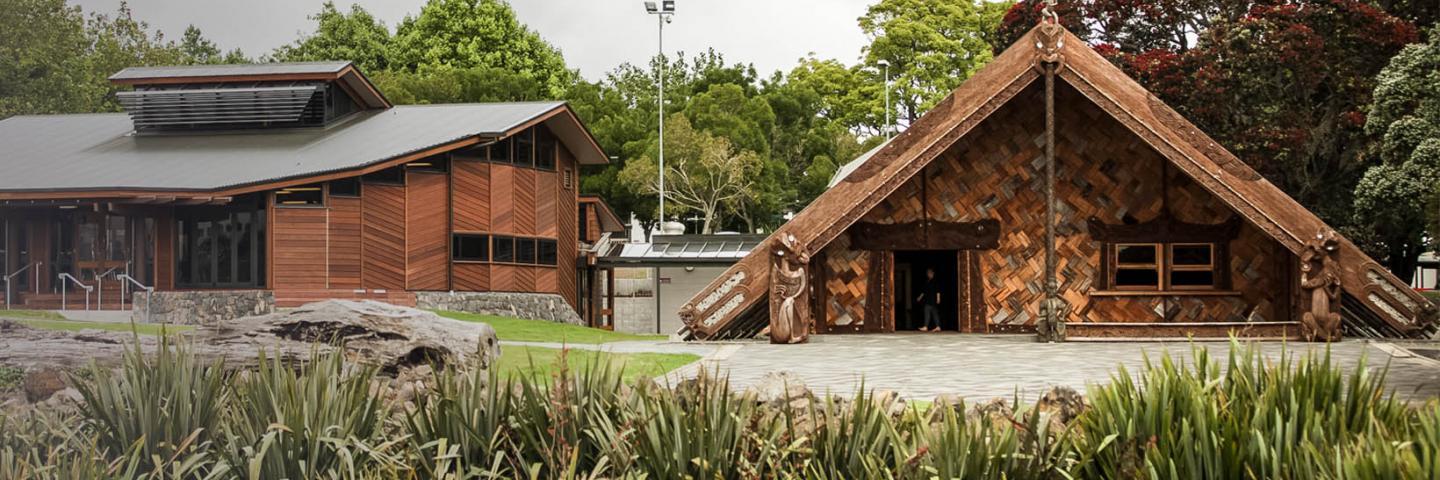 Explore our Māori short courses