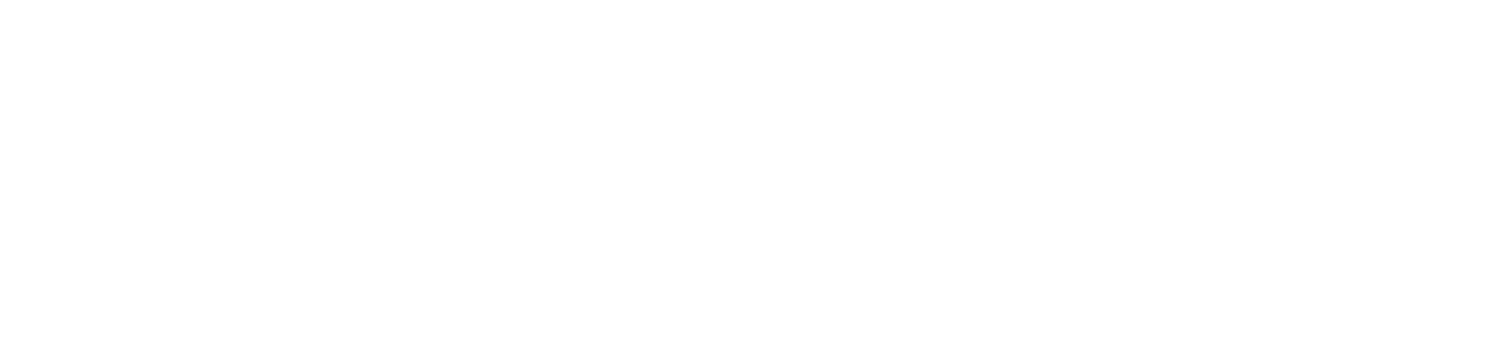 Te Kāwanatanga o Aotearoa - New Zealand Government