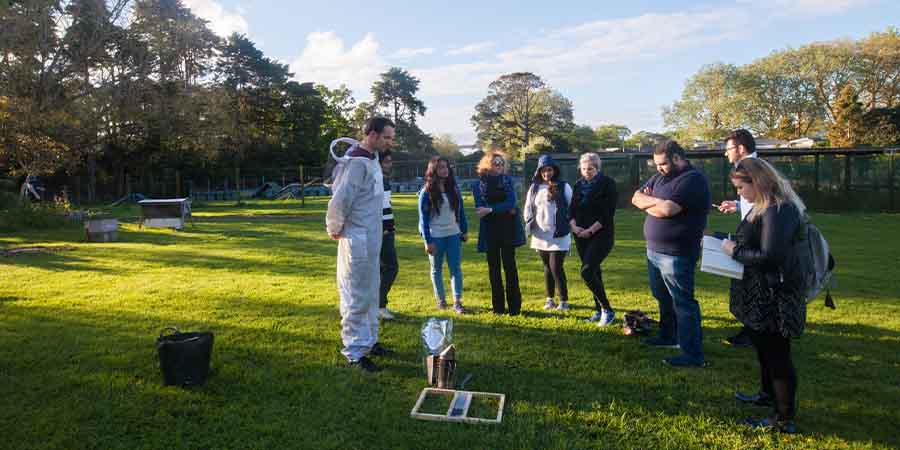 A group of students look at parts of a beehive with a beekeeper.