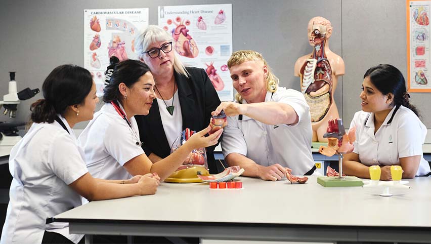 Career and study options