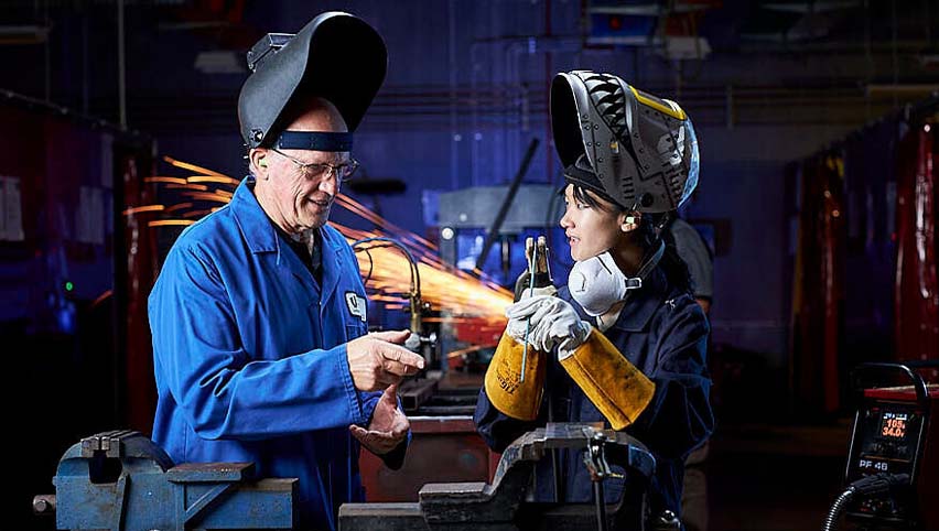 Career and study options