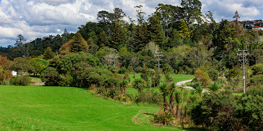 Daylighting streams to ease flood damage