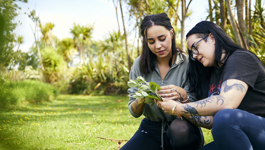 Webinar: Explore Master of Applied Science in Biodiversity Management 