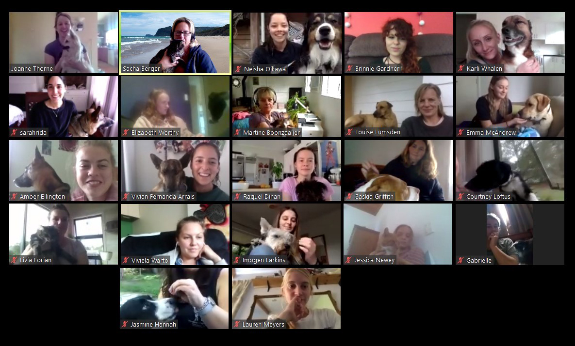 Lockdown Dogs – canine training moves online