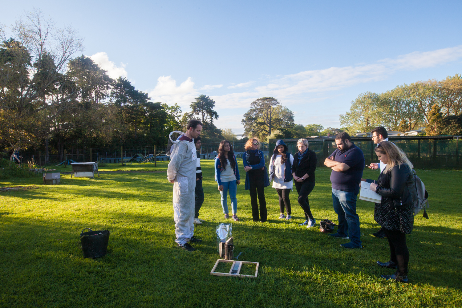 The business students and the bees