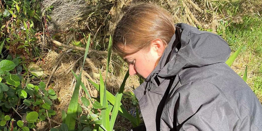 Amy Gwynne works in the field