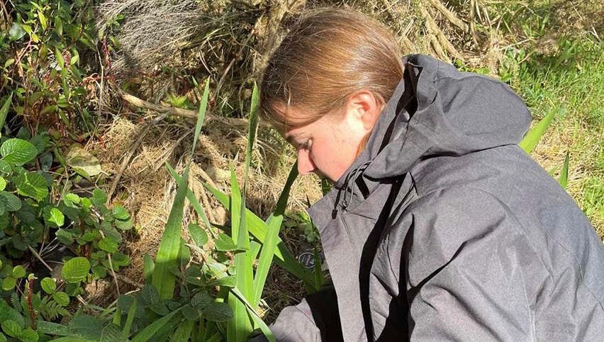 Transforming a passion into a profession