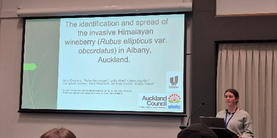 Amy Gwynne stands behind a lectern with a projected image of a slide about her research behind her. 