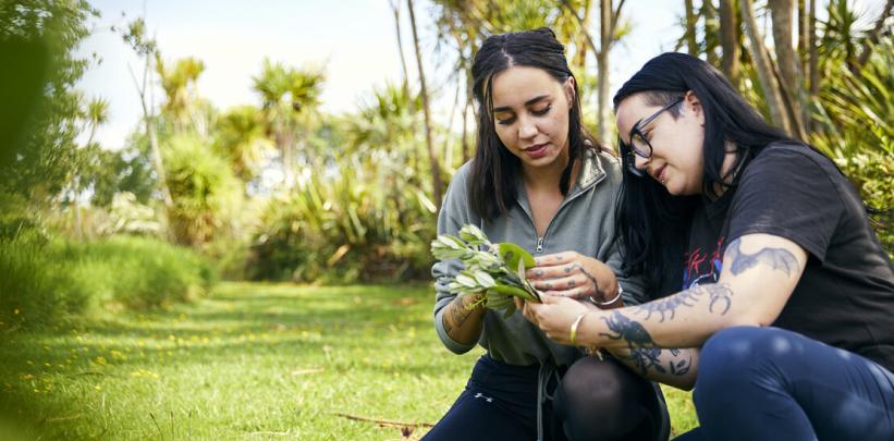 International agents webinar- Postgraduate Biodiversity Management programmes