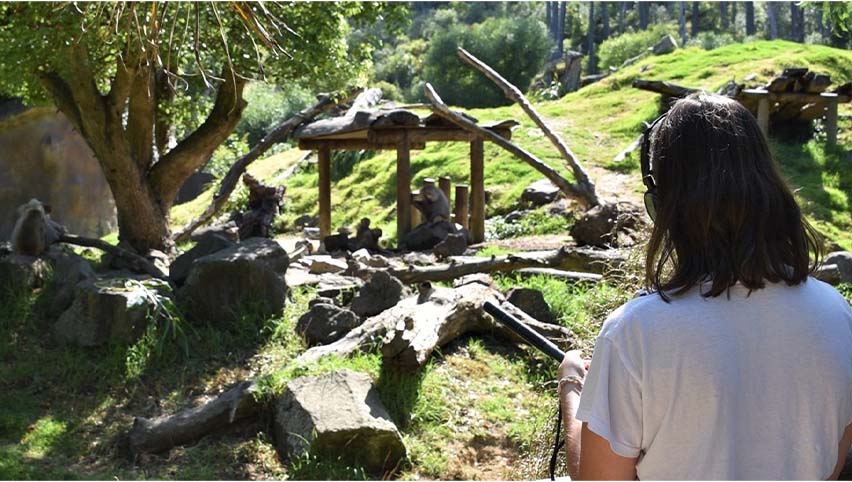 Career and study options