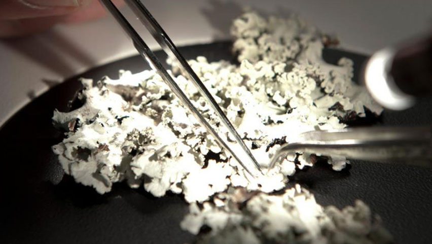 Research and Enterprise