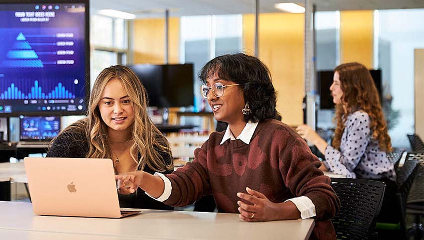 Career and Employability