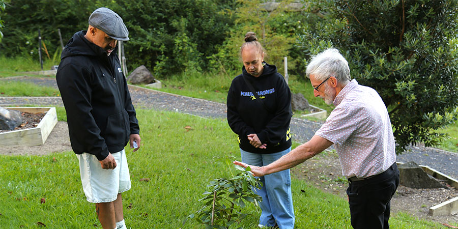 Hohepa Renata, Hinewaimarama Reihana-White and Unitec Chaplain Ricky Waters stand around a freshly-planted tree sapling.