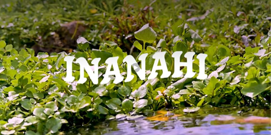 Marina Fepulea’i’s Māori food brand concept Inanahi.
