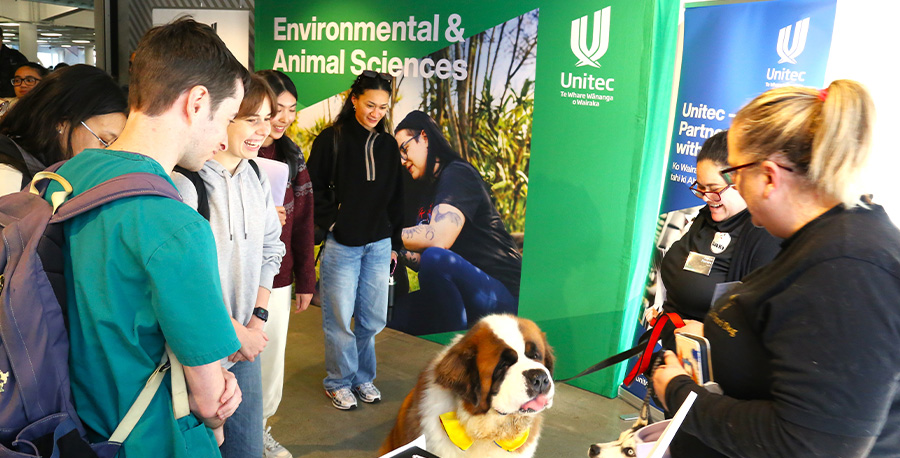 A group of students admire a St Bernard dog with a large bow on its collar. 