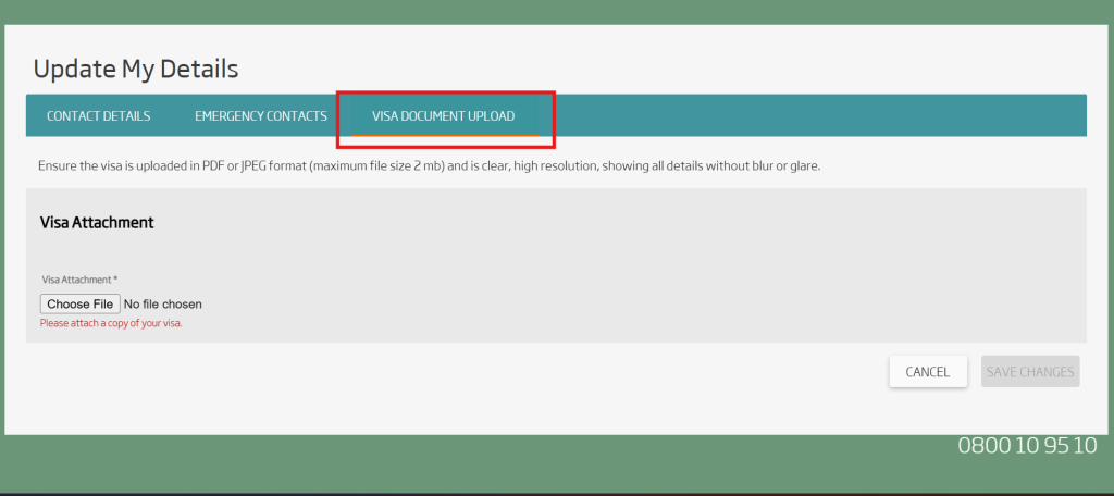 Shows the visual interface for the 'Visa document upload' interface.